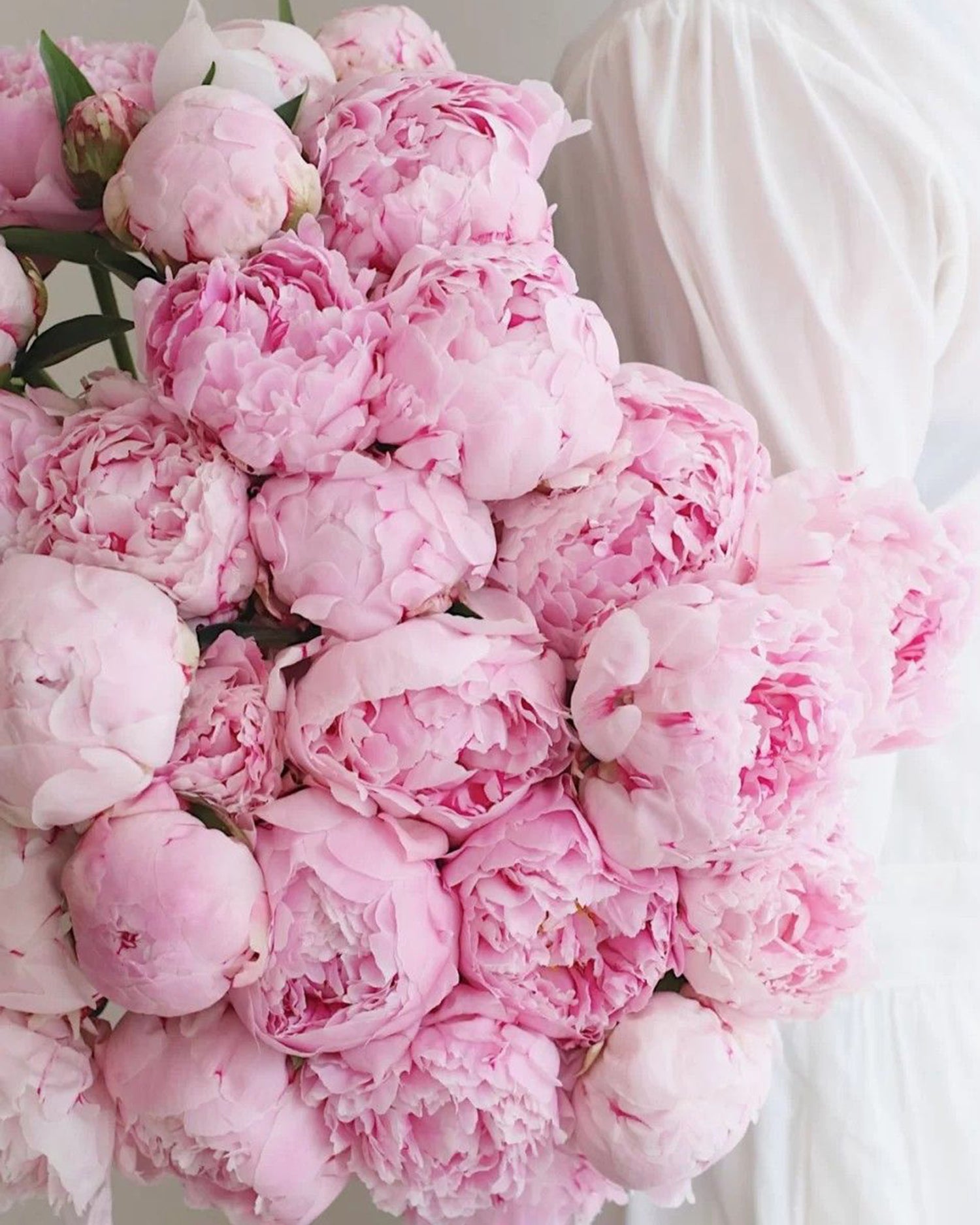 Peonies
