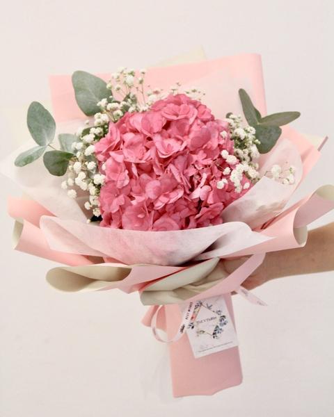 Hydrangeas