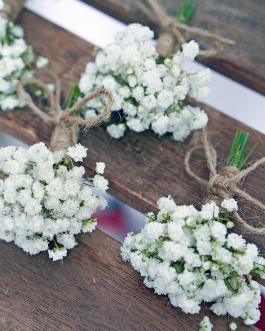 Boutonnieres - Fresh White Baby' Breath